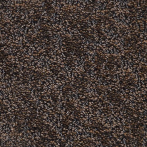 19 SP-2066 Specials Carpet