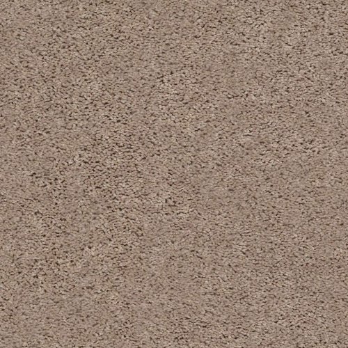 Warm Sand Break Away Solid Specials Carpet