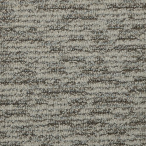 1916 SP-6036 Specials Carpet